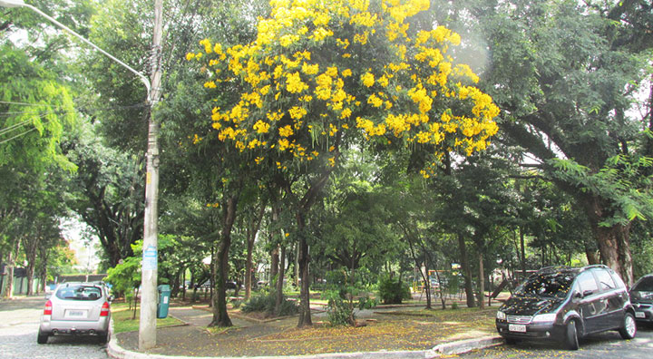 Praça Centenário, no centro da Casa Verde.