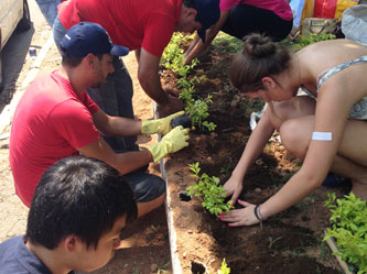 Ação de jardinagem.