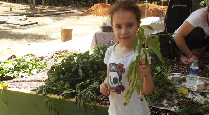 Desde pequena conhecendo plantas e sementes.