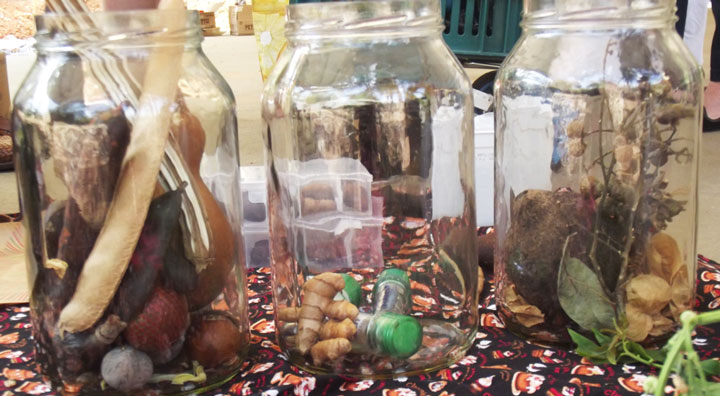 Grande variedade de sementes.