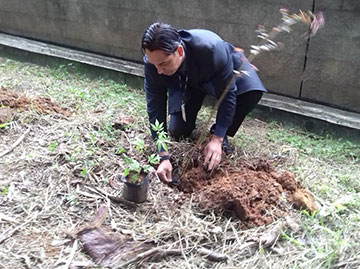 O prefeito regional plantando sua árvores.